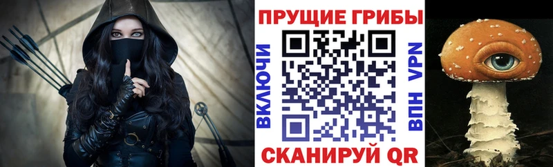 Купить закладки  Салават  Галлюциногенные грибы Cubensis 