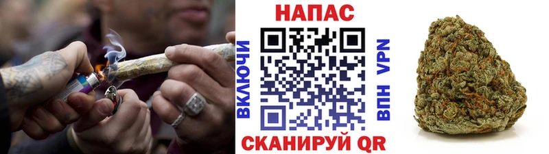 Бошки Шишки ГИДРОПОН  Купить  Салават 